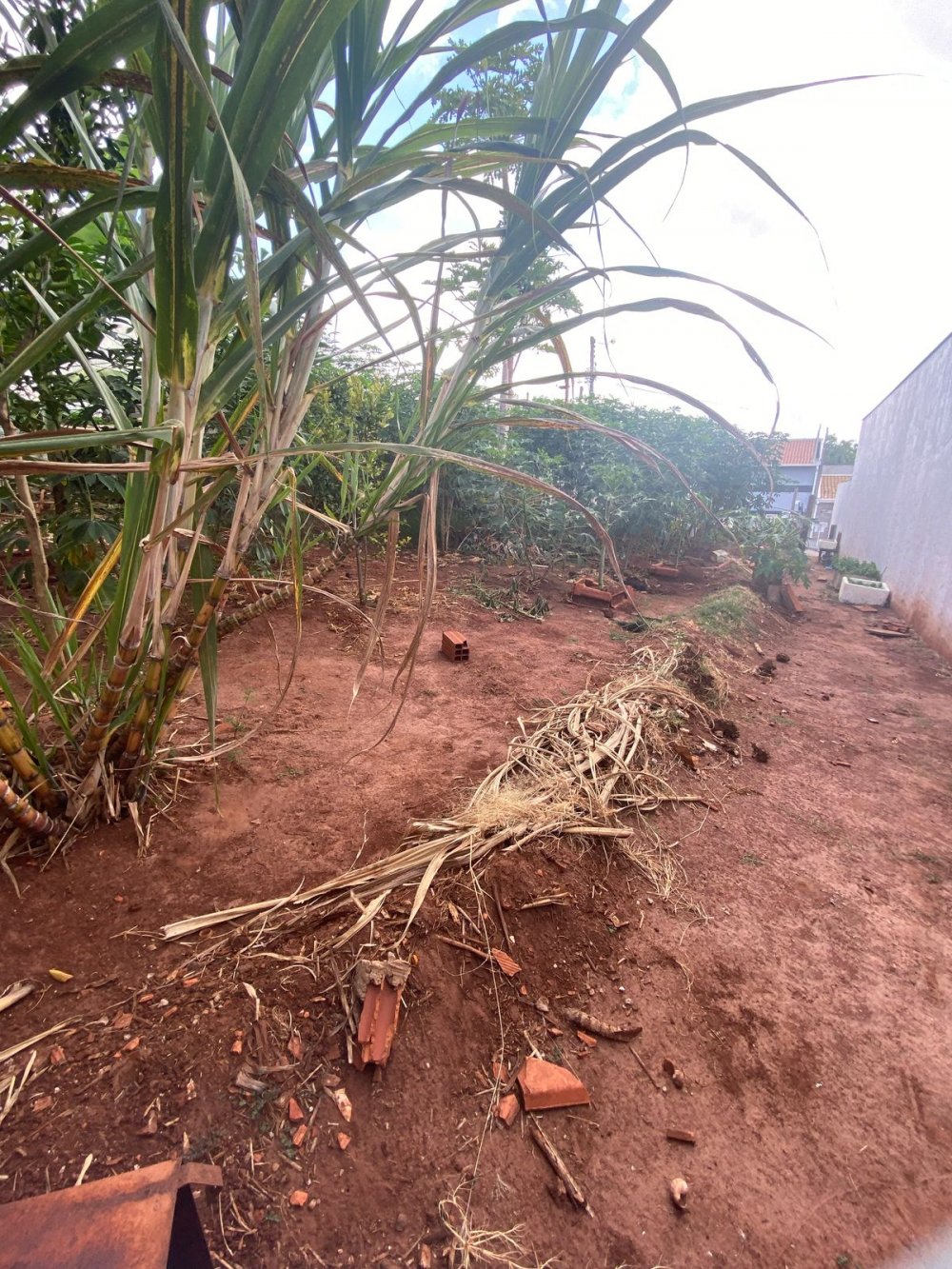Terreno - Venda - Jardim Itamaraty - Botucatu - SP