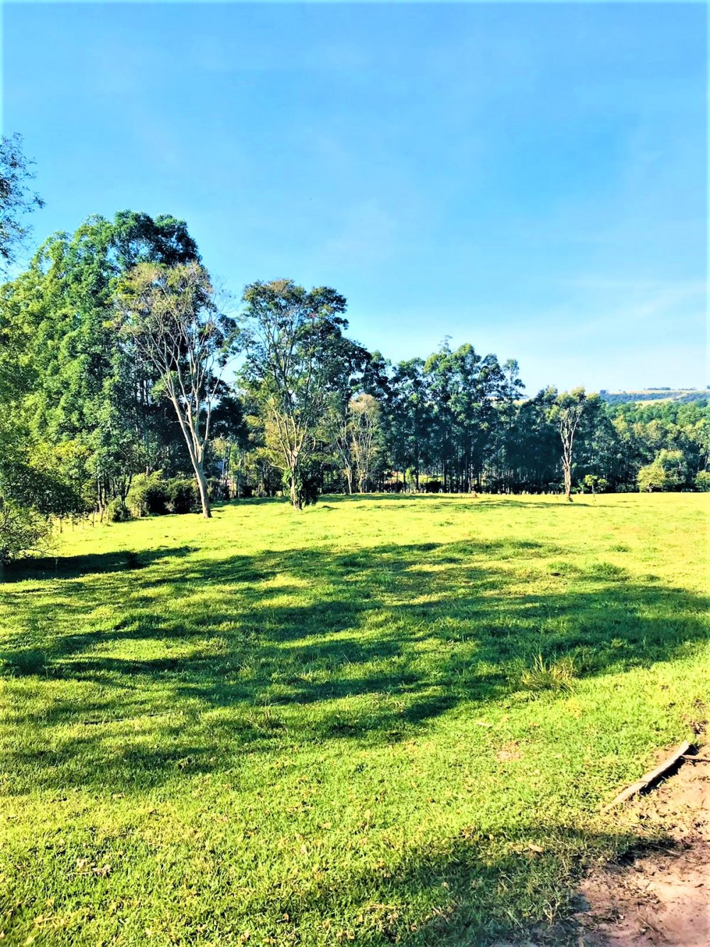 Stio - Venda - Botucatu - Botucatu - SP