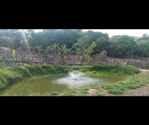 Chcara - Venda - Bofete - Bofete - SP