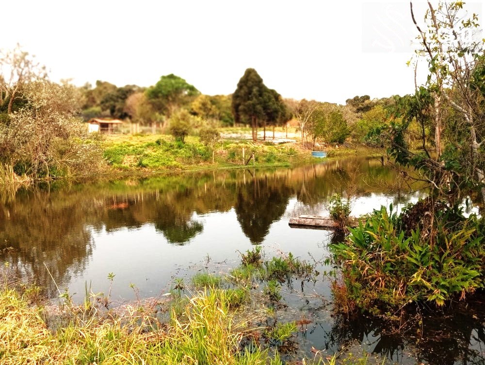 Stio - Venda - Centro - Pratnia - SP