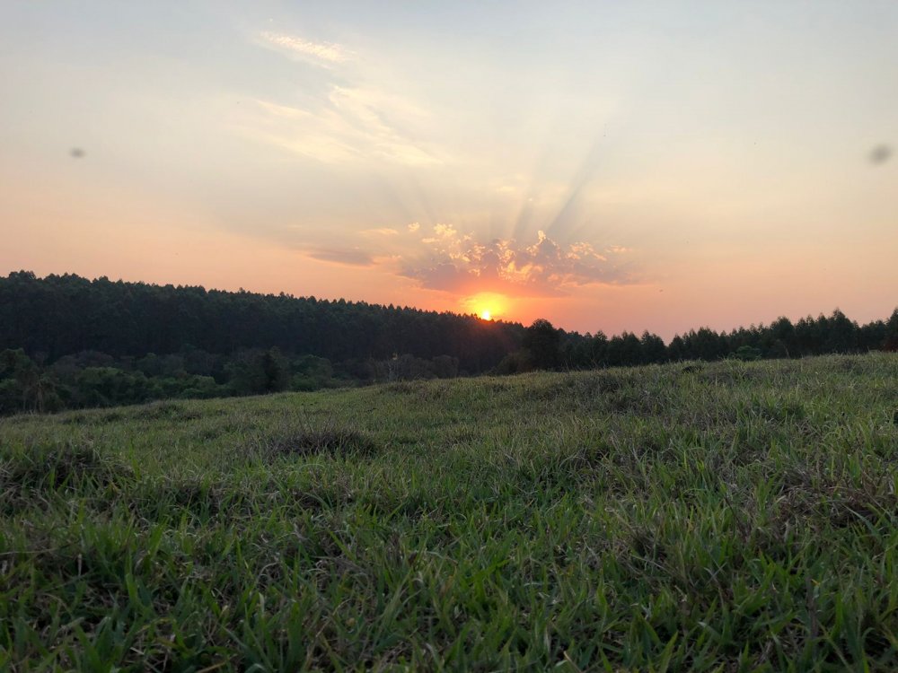 Chcara - Venda - Botucatu - Botucatu - SP