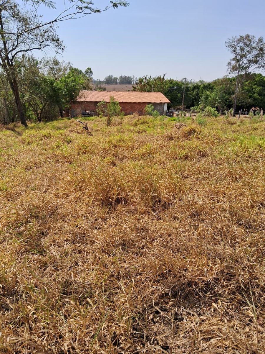 Terreno - Venda - Bairro dos Alves - Porangaba - SP