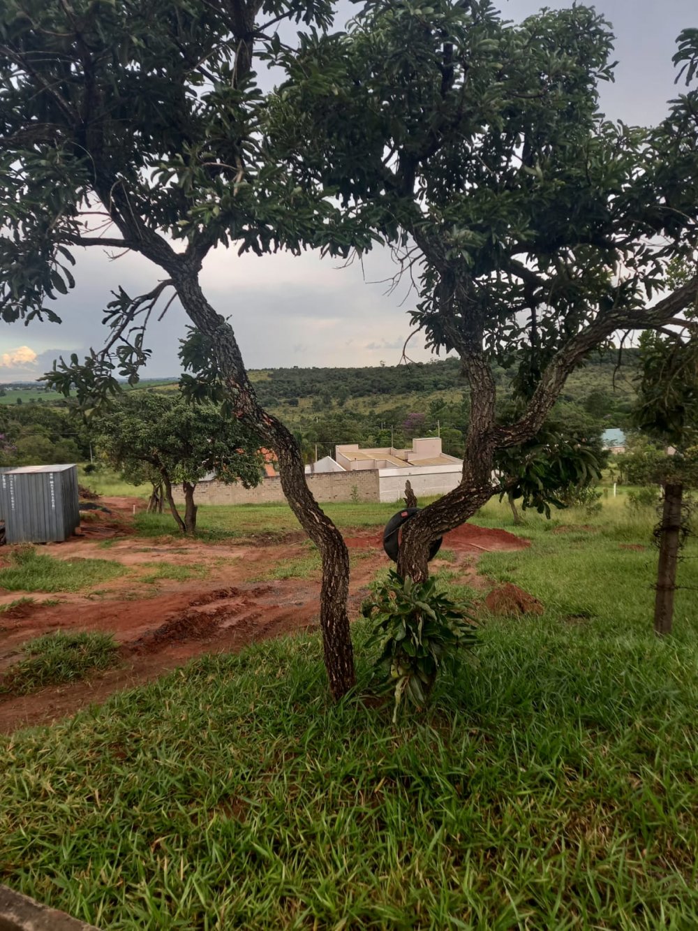 Terreno - Venda - Recanto rvore Grande - Botucatu - SP